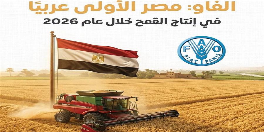 مصر تتصدر الدول العربية في إنتاج القمح خلال 2026 بـ10.2 ملايين طن